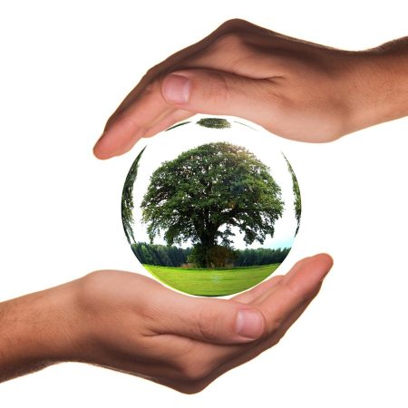 Environment